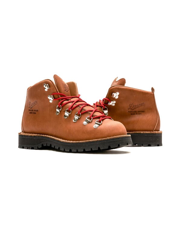 Danner Mountain Light Gore-Tex (EE) | 31528 | AFEW STORE